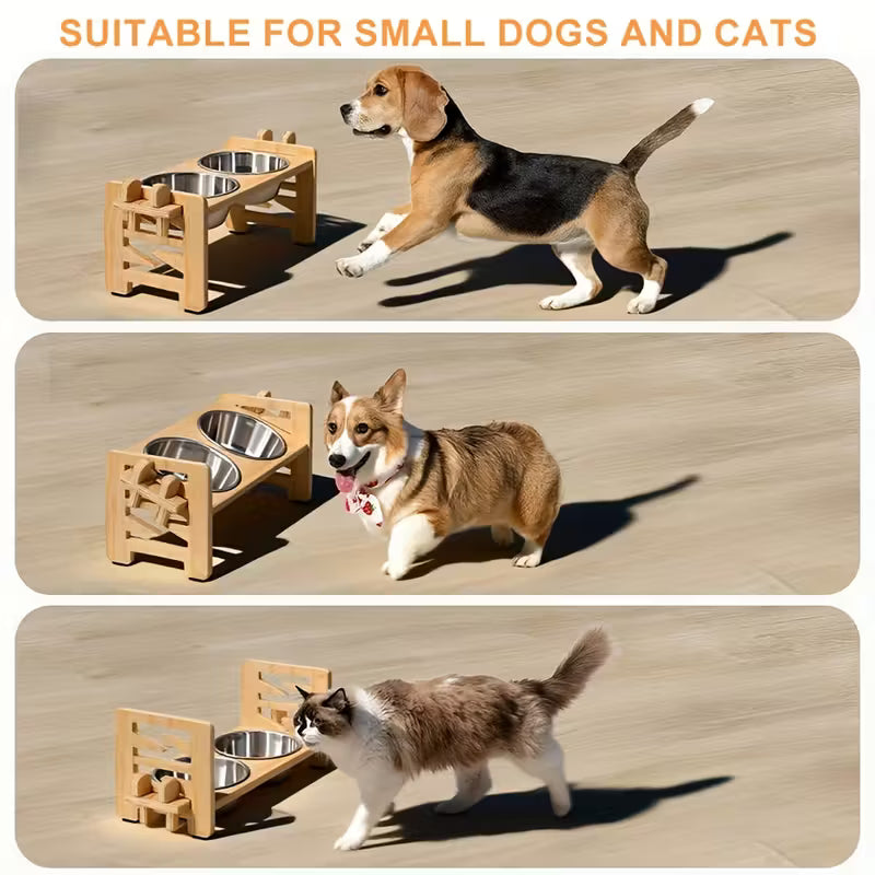 Platos Elevados para Perros